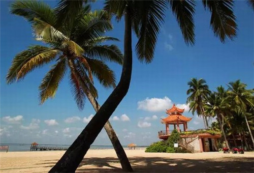 任县创业修正带品牌加盟需要什么条件，修正带简介