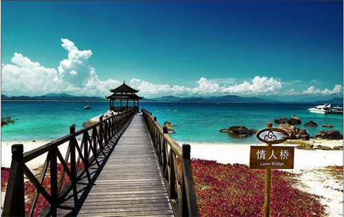 喜欢芒奶茶现在可以加盟吗