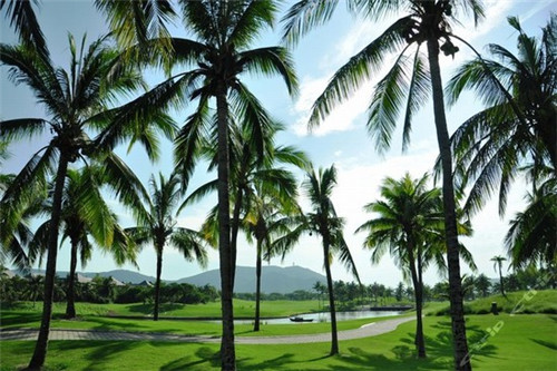 奶茶加盟店怎么选品牌呢