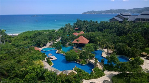 哪家金盏花茶加盟项目比较赚钱