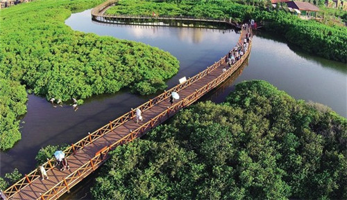 张艺兴唱什么歌好听男生（张艺兴唱什么歌好听男生唱的）