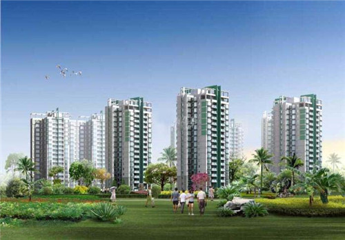 陕西家常炒豆角做法（炒豆角视频讲解）